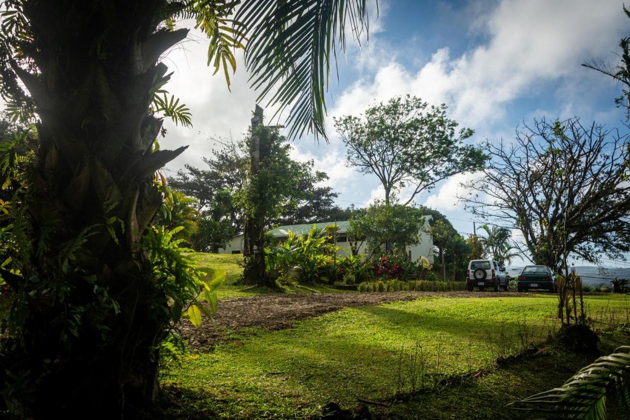 Vista Lago Arenal Piedras 외부 사진