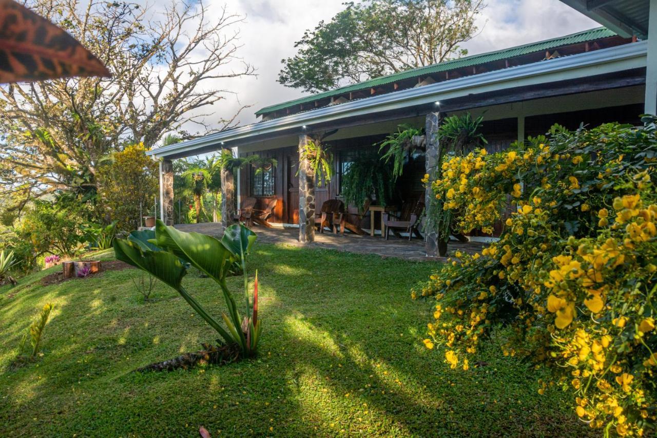 Vista Lago Arenal Piedras 외부 사진