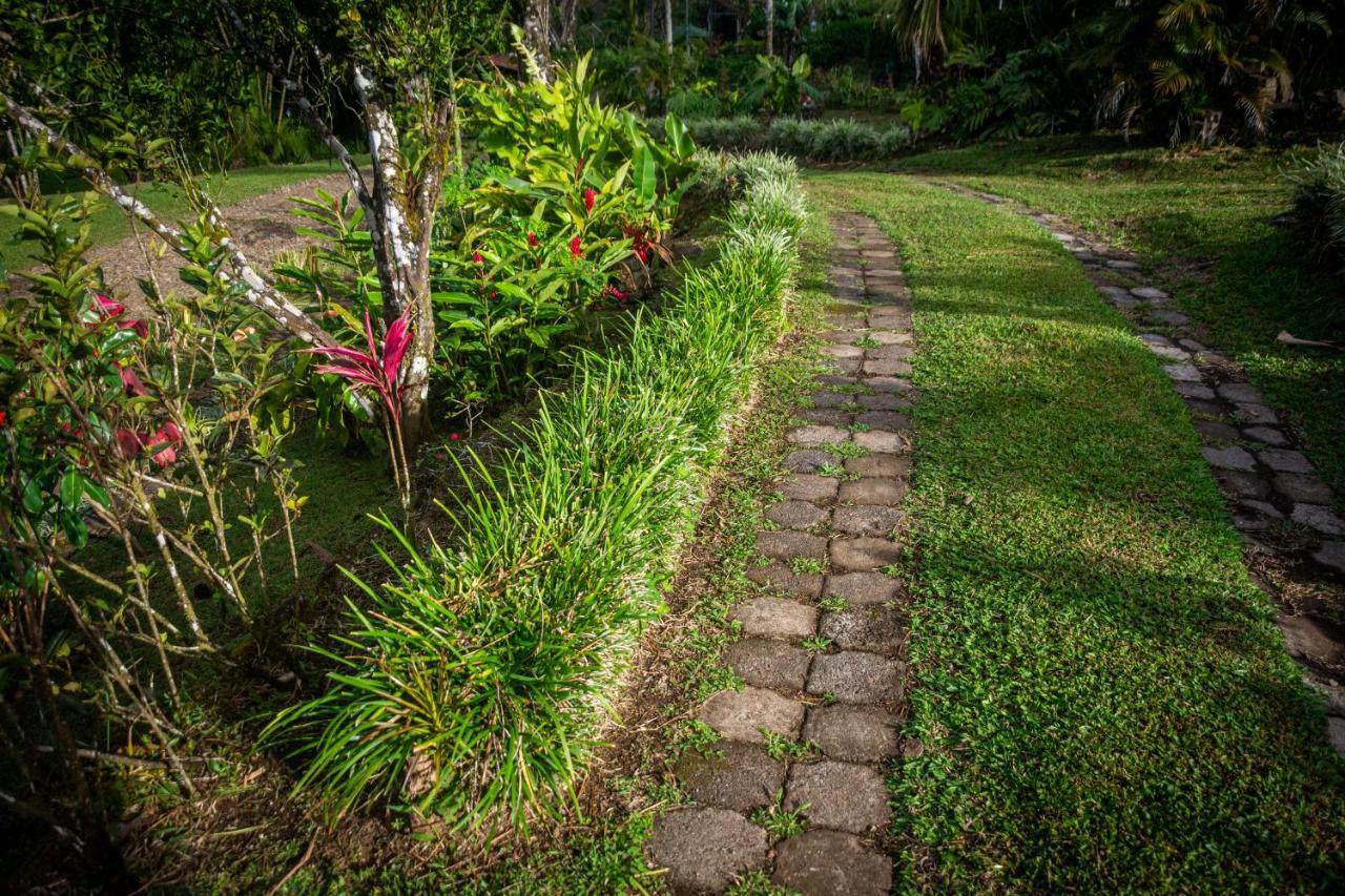 Vista Lago Arenal Piedras 외부 사진