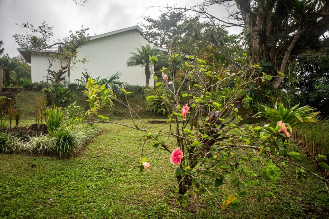 Vista Lago Arenal Piedras 외부 사진