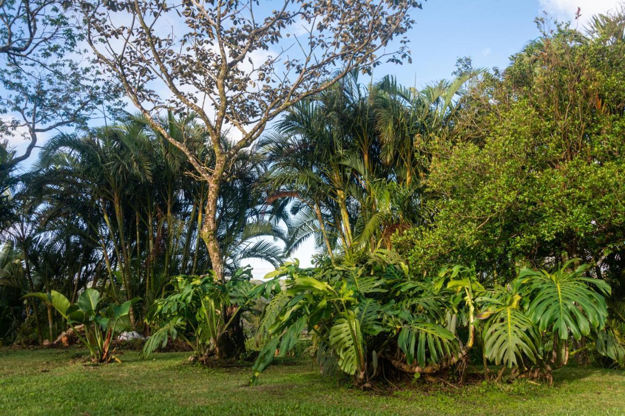 Vista Lago Arenal Piedras 외부 사진