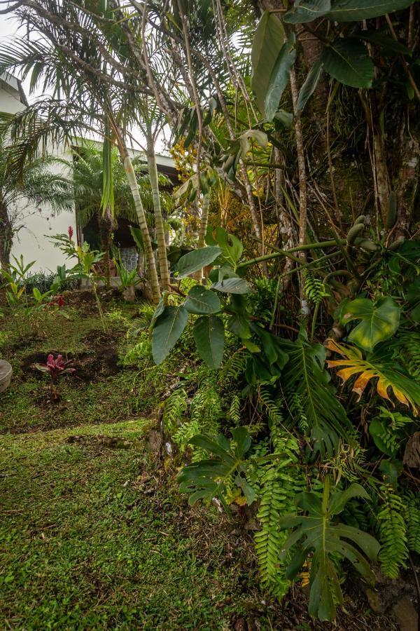 Vista Lago Arenal Piedras 외부 사진